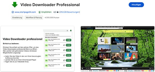 Video Downloader Professional