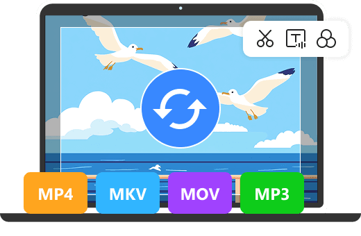 AnyMP4 Video Converter Ultimate